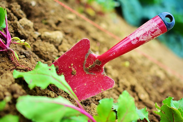 Tools for gardening beginners Hand trowel