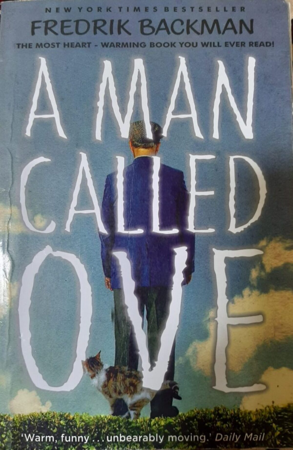 A Man Called Ove Book Review Lots To Read