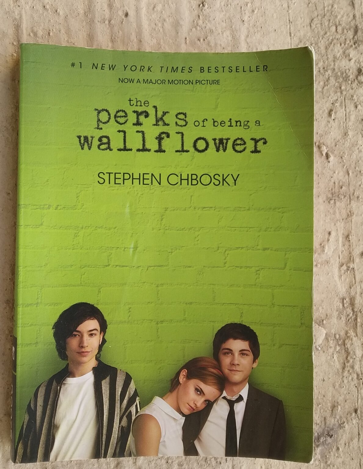 the perks of being a wallflower book author